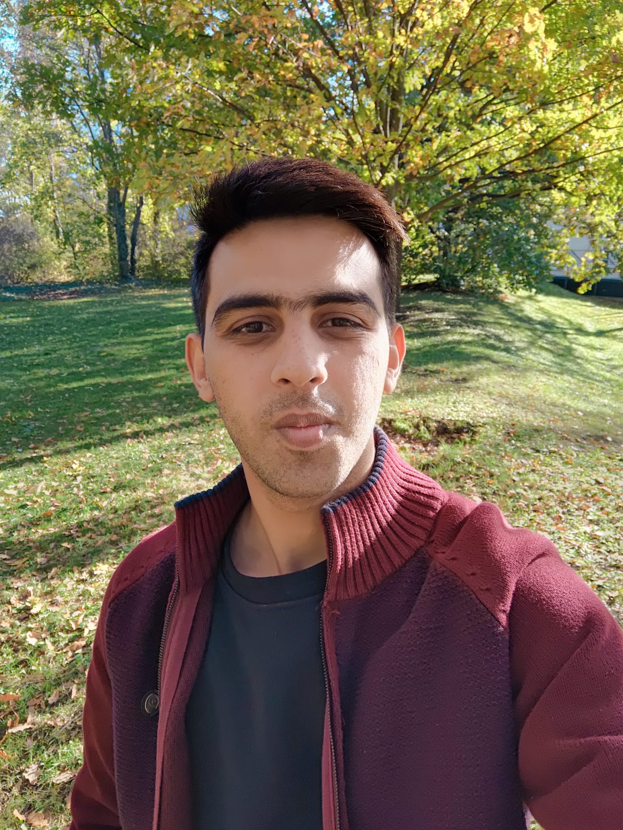 Talha Mahmood